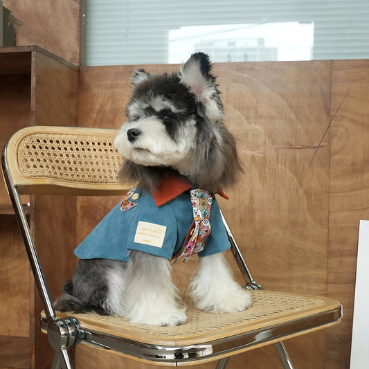 Pet Clothes: Tips for Comfortable Dressing for Your Furry Friend