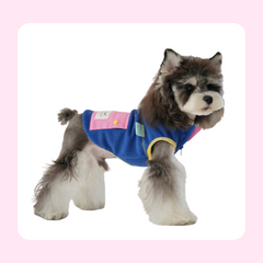 Warm jacket in candy color wih zipped pocket