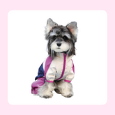 Stain-resistant and dirt proof outdoor wearing raincoat for Teddy and Schnauzer