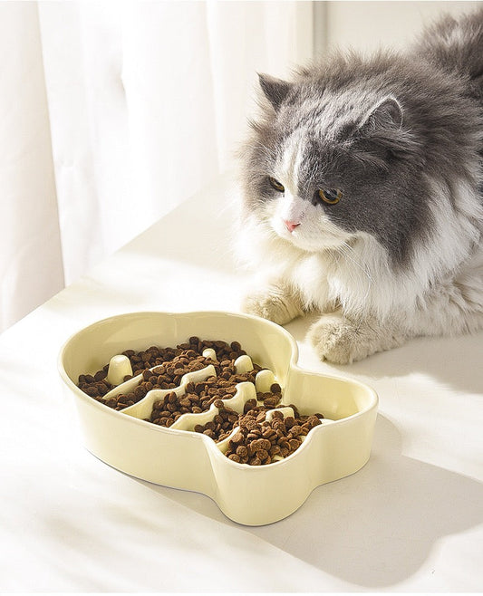 Don’t Let Your “Food-Loving Fur Baby” Become a Sick Pet: Why Slow Feeder Bowls Are a Must-Have