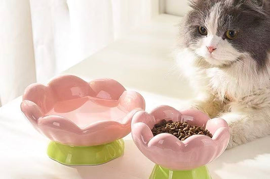 Don’t Let Your “Food-Loving Fur Baby” Become a Sick Pet: Why Slow Feeder Bowls Are a Must-Have