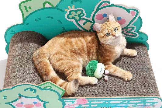 How to Stop a Cat from Scratching the Couch: 5 Easy Tips（+ Best Scratch Pads）