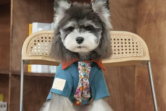 Pet Clothes: Tips for Comfortable Dressing for Your Furry Friend