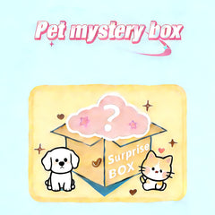 Christmas surprise gift