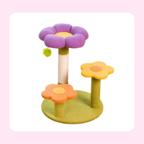 cat climber（flower）