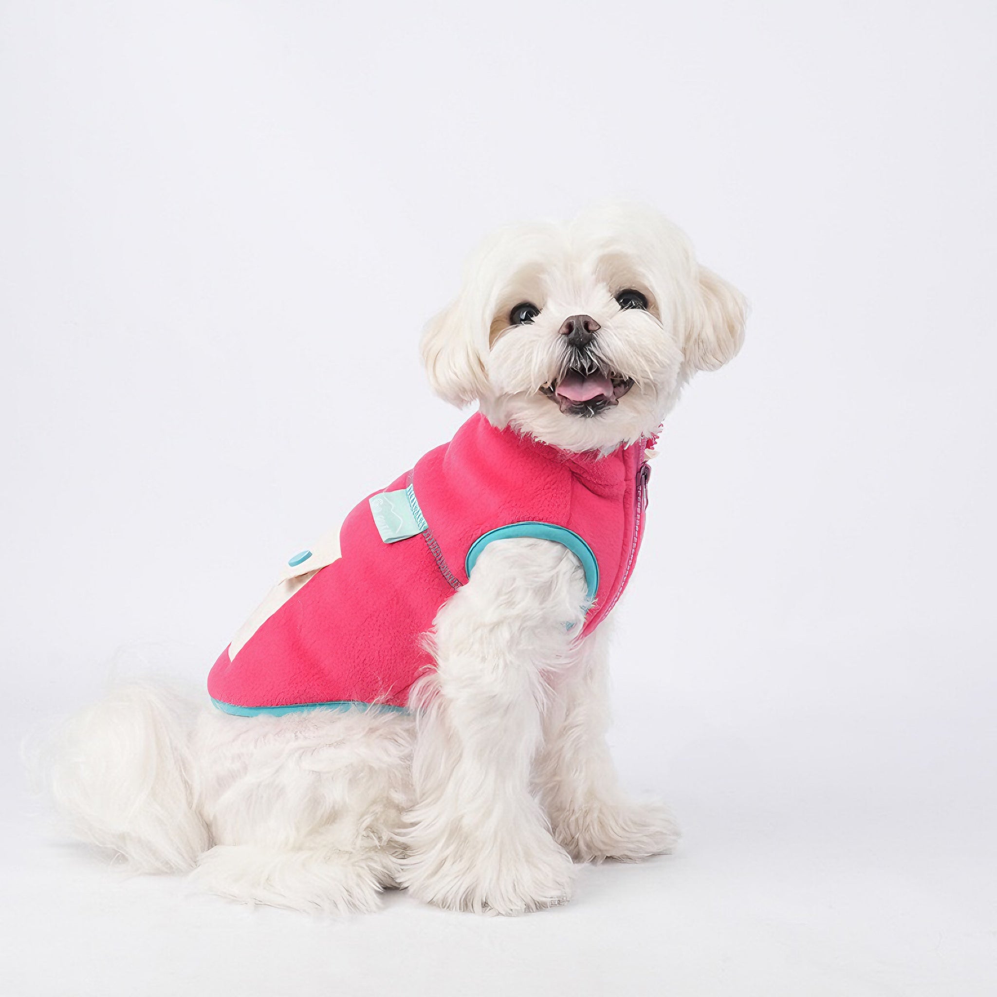 Warm jacket in candy color wih zipped pocket