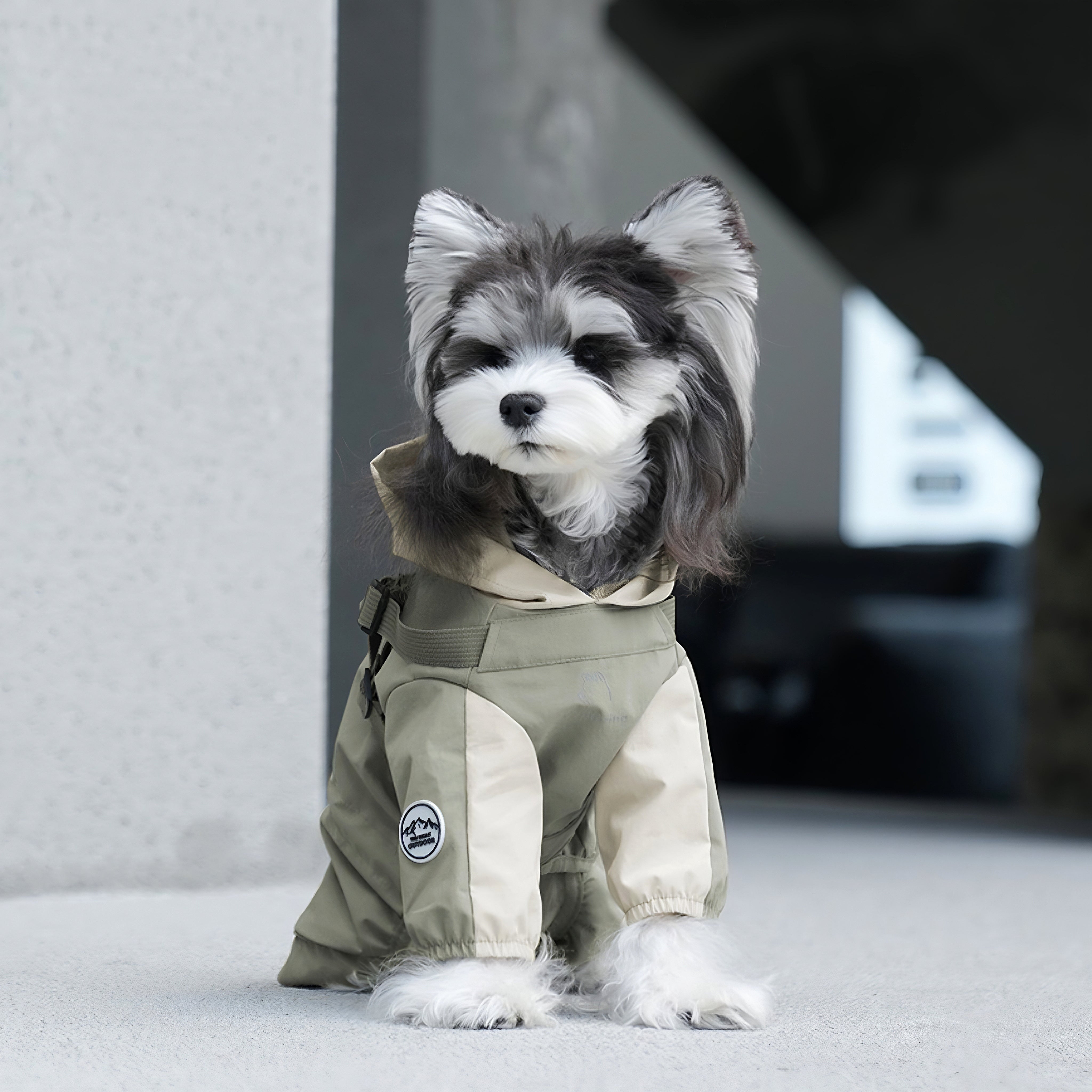 Waterproof pet dog hat raincoat with chest , back and four legs fully covering