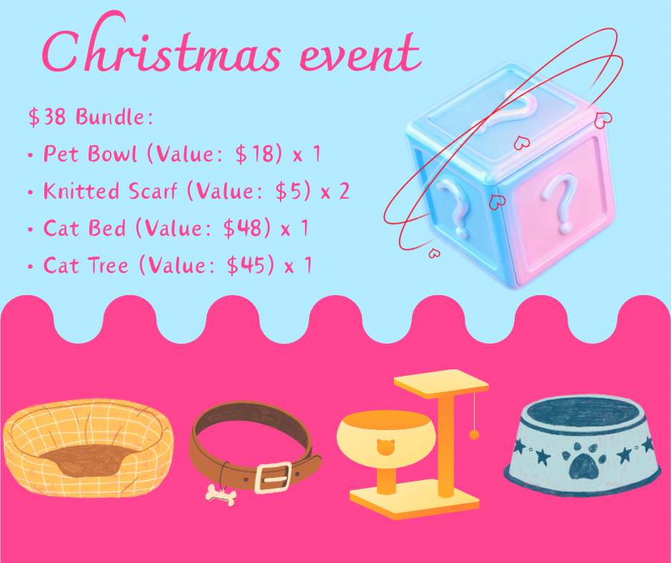 Christmas surprise gift